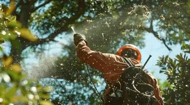 prevención plagas arbolado